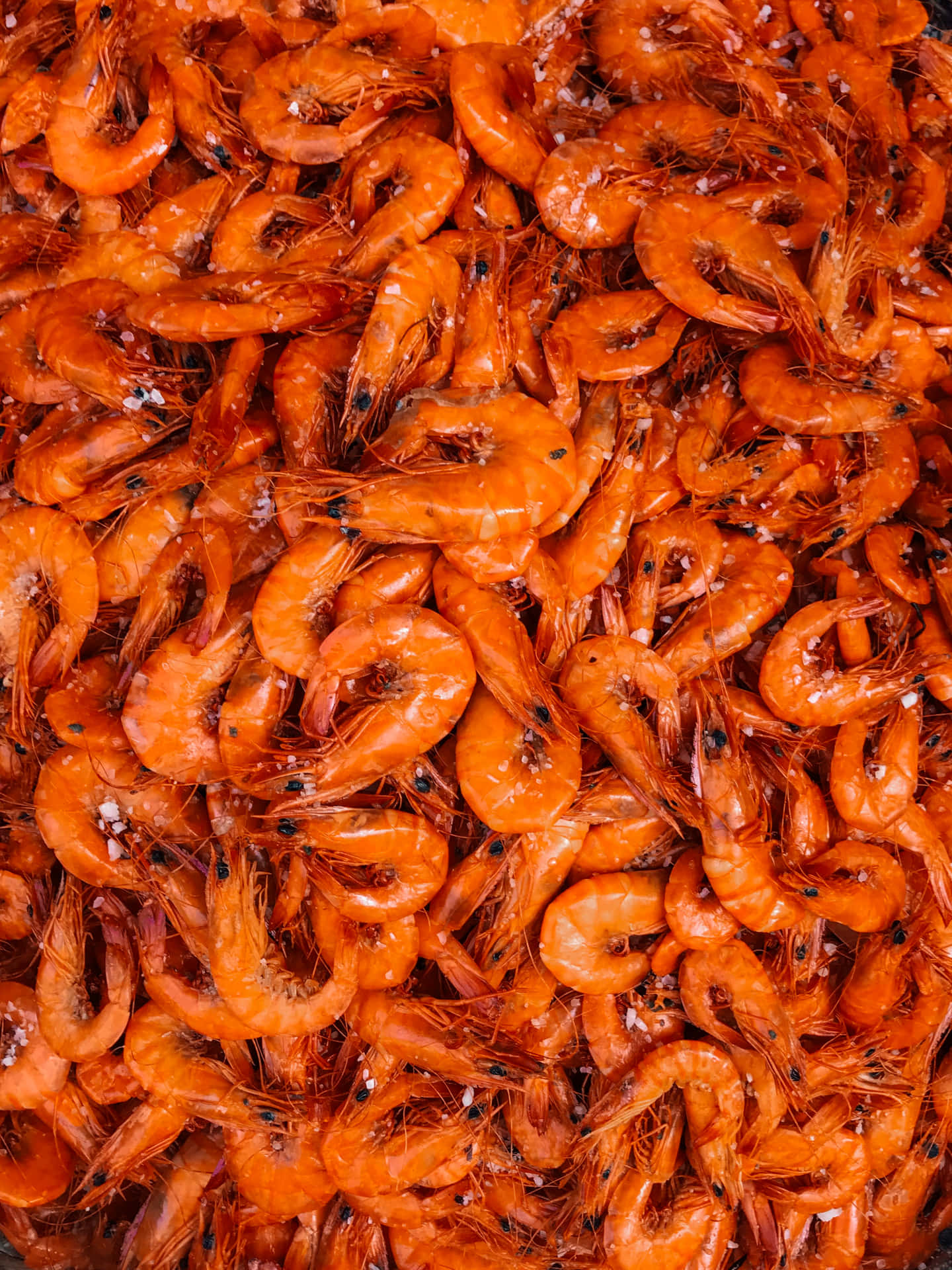 Pile Of Red Shiny Shrimp Picture