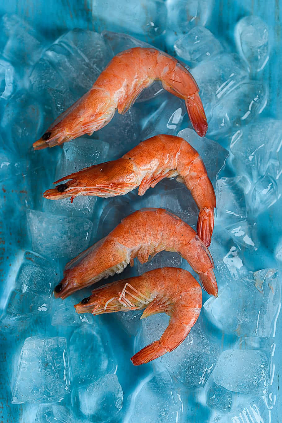 Three Shrimp On Ice Picture