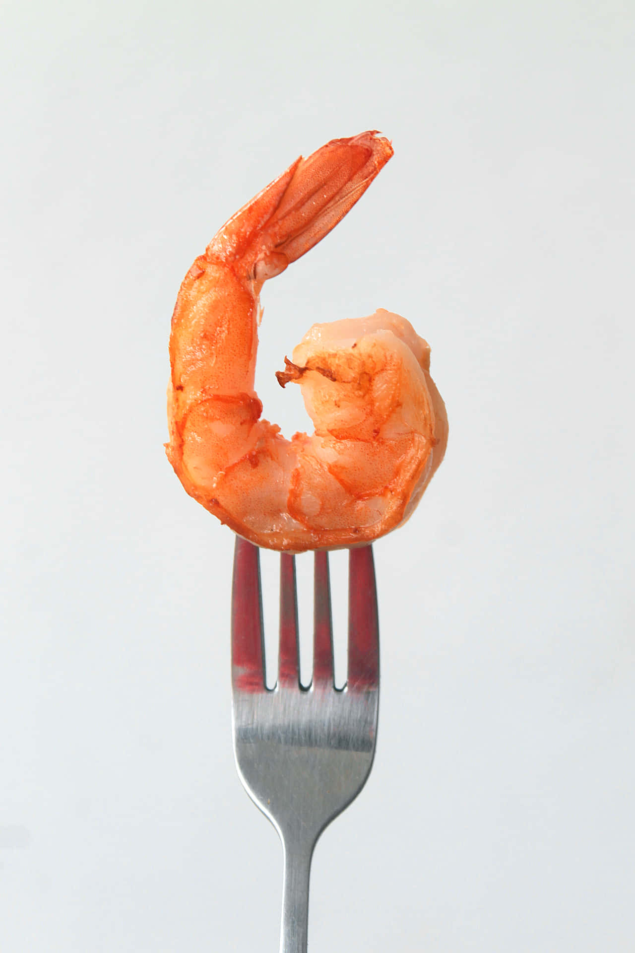 Shrimp On Fork Picture