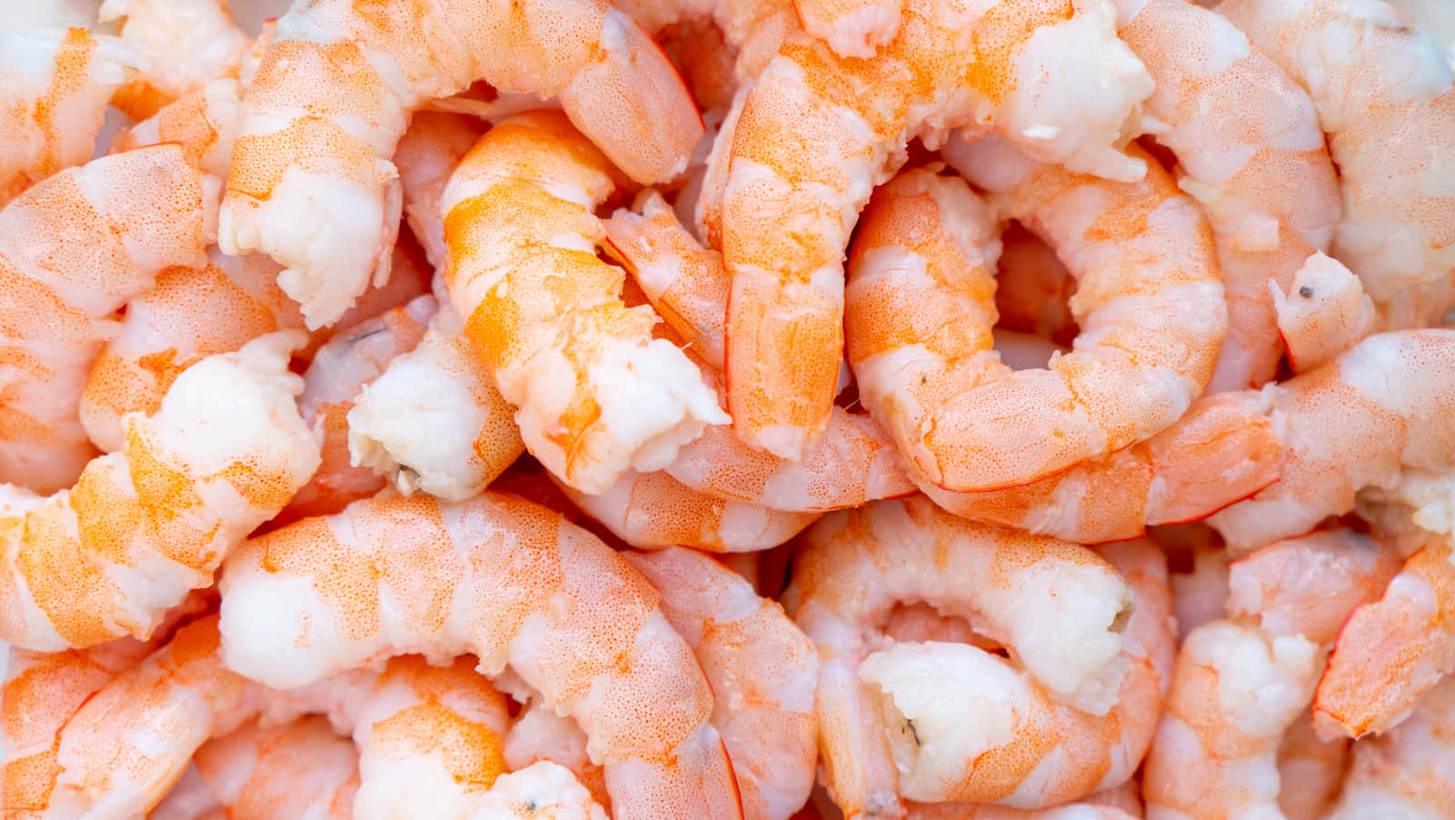 Shrimp In A Bowl Close-up Picture