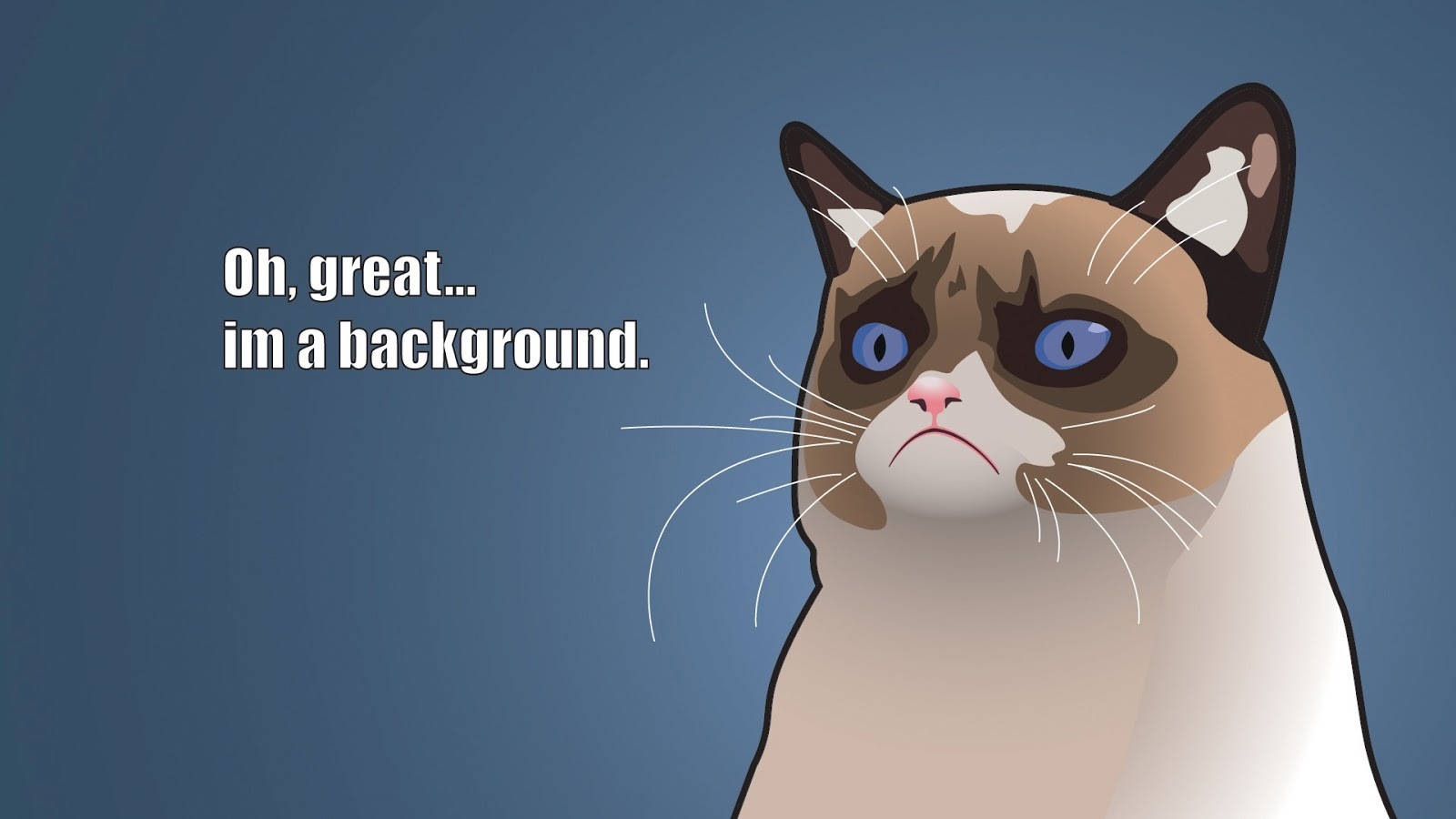 Funny Siamese Cartoon Cat Meme Wallpaper