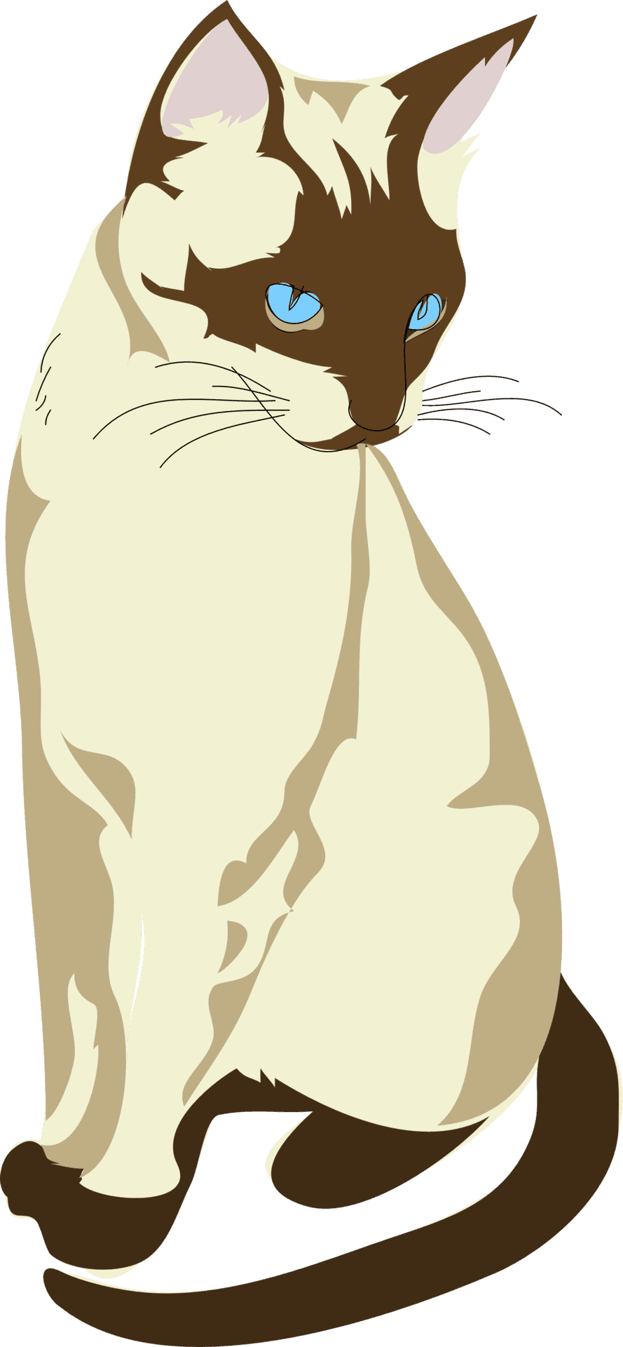 Siamese Cat Blue Eyes Illustration PNG