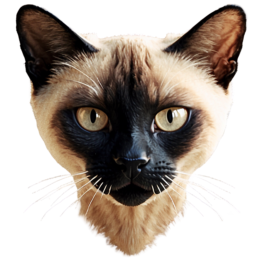 Siamese Cat Head Design Png 3 PNG