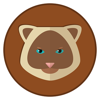 Siamese Cat Icon PNG