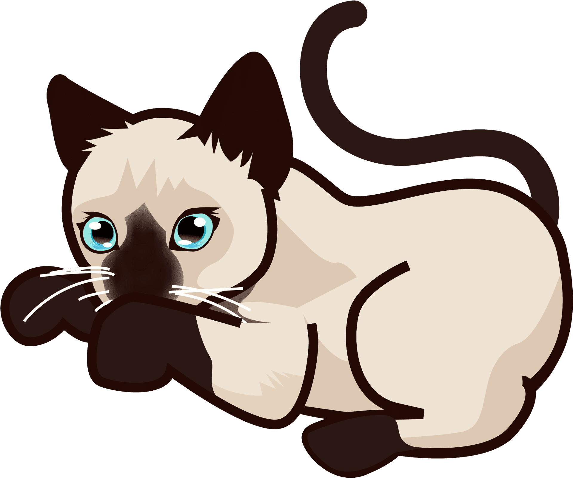 Siamese Cat Illustration PNG