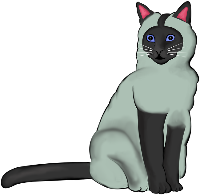 Siamese Cat Illustration PNG
