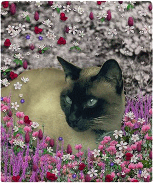Siamese Catin Floral Garden.jpg PNG