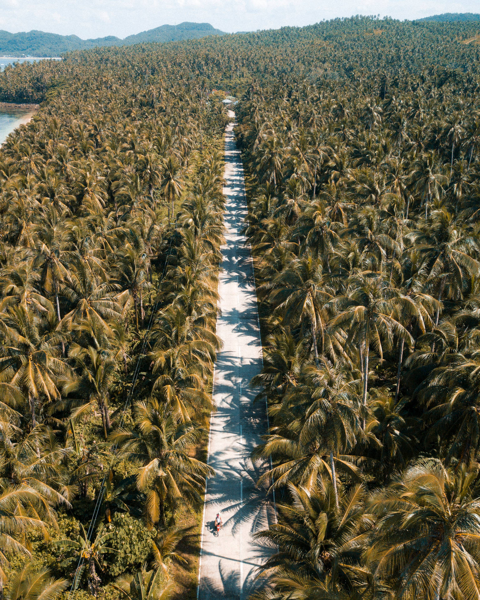 Siargao-øen Vej Palme Træer Aerial Wallpaper Wallpaper