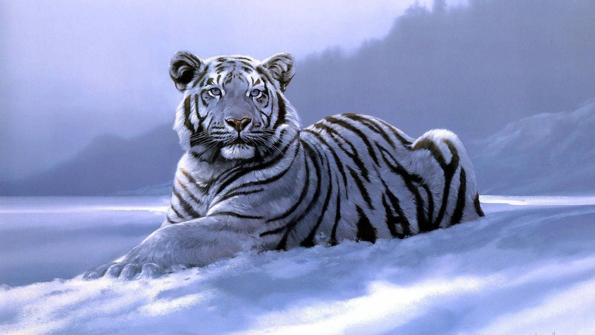 Siberian Tiger In Winter Art Background