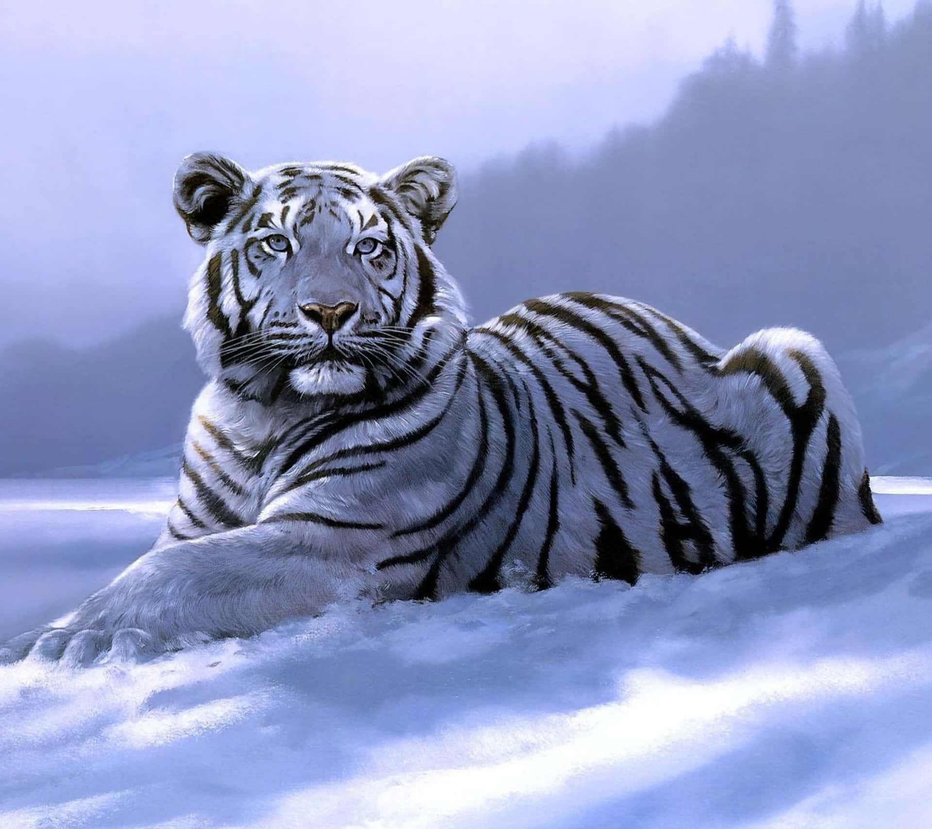 Siberian_ Tiger_in_ Winter_ Snowscape Wallpaper
