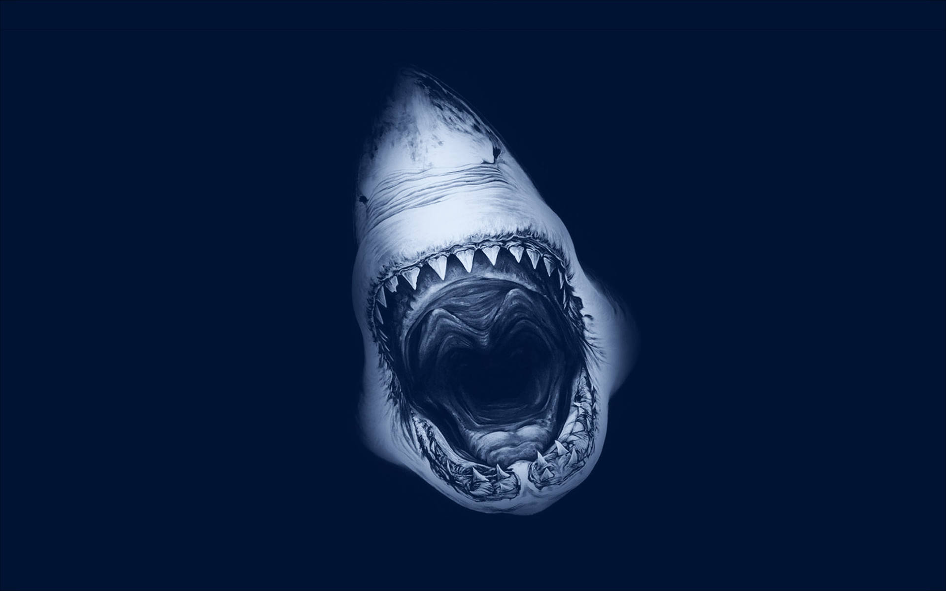 Sick Shark's Mouth Wallpaper
