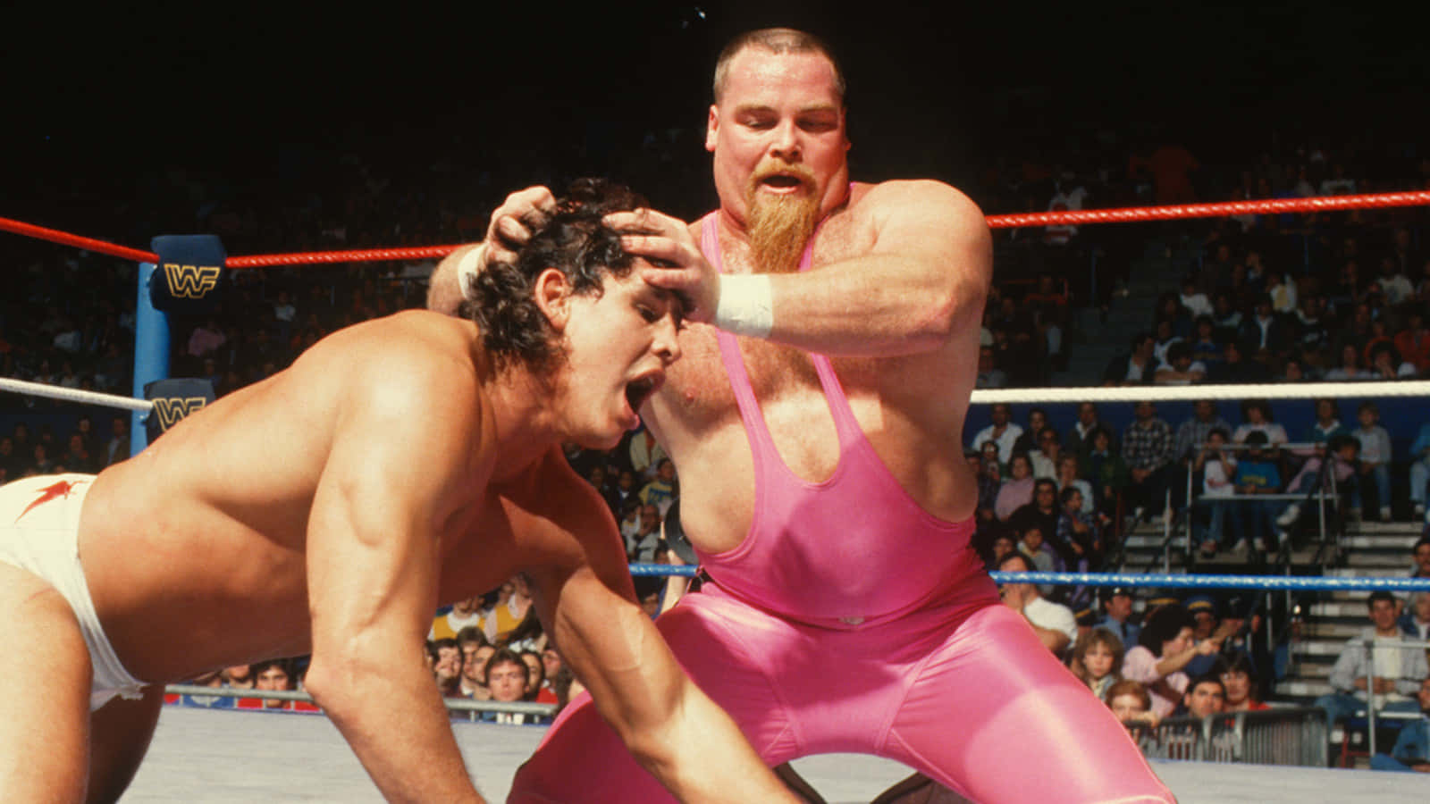 Sidvicious Och Jim Neidhart Som Slåss. (note: This Is A Direct Translation. If You're Looking For A Phrase To Use As A Computer Or Mobile Wallpaper, You May Need To Provide More Context Or Clarify The Intended Meaning.) Wallpaper