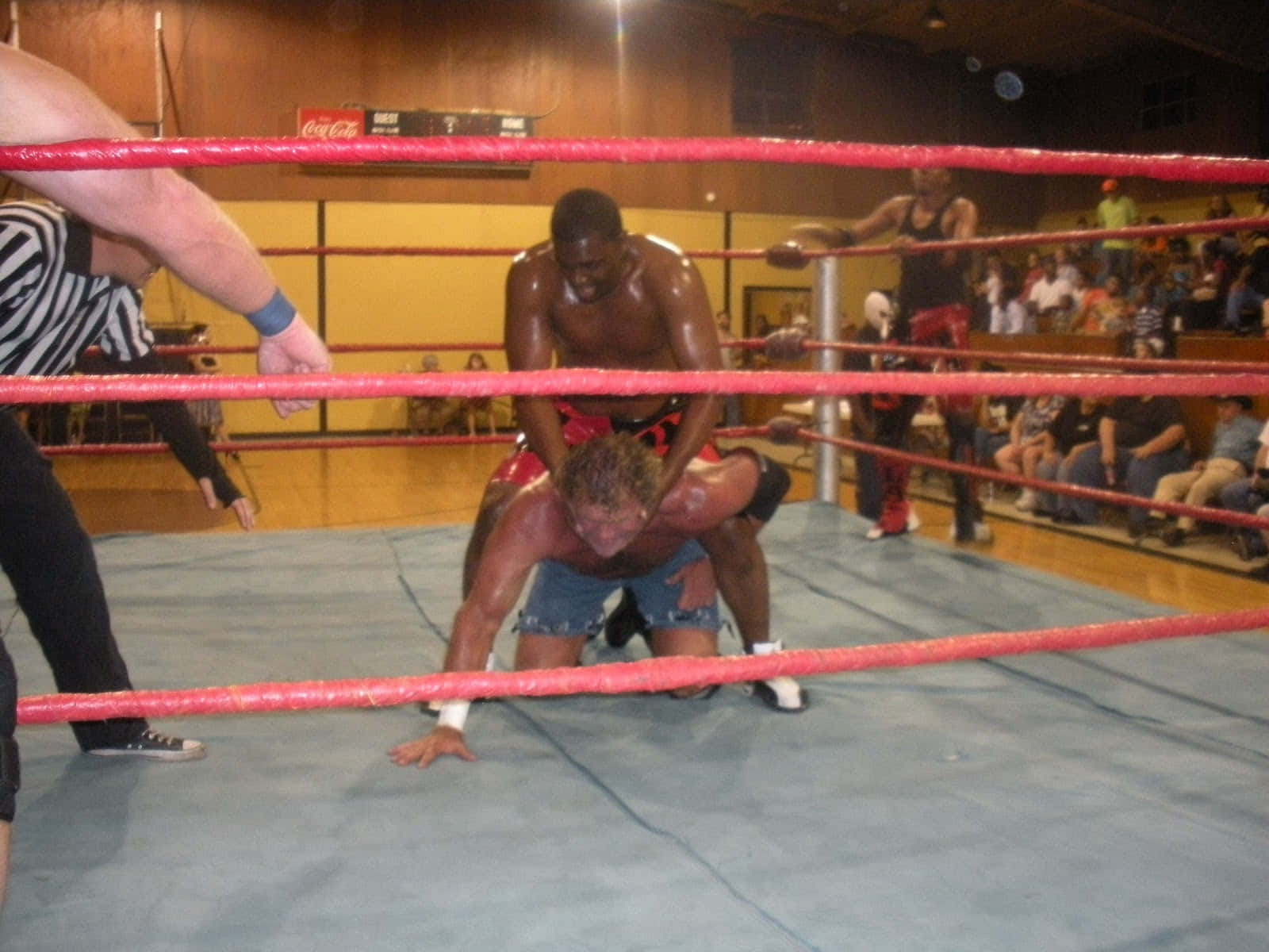 Sidvicious Peleando En El Ring Con Su Oponente. Fondo de pantalla
