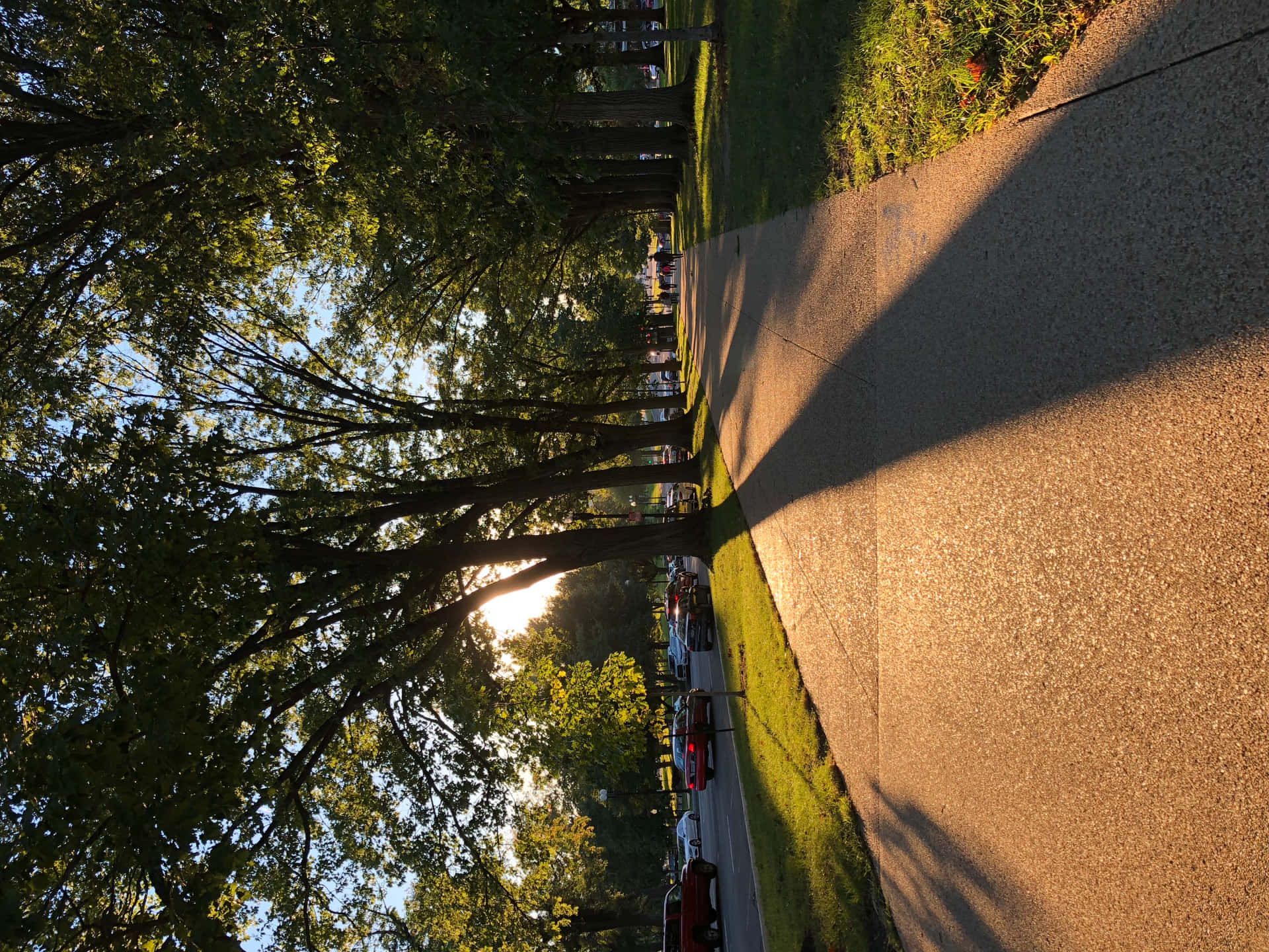 Stroll down a calming, tree-lined sidewalk.