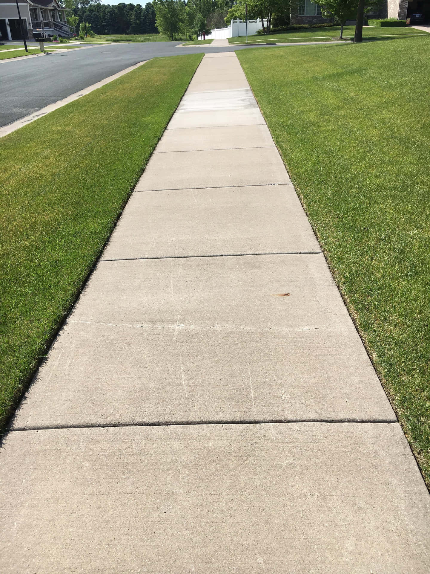 Taking a leisurely stroll on a sidewalk.