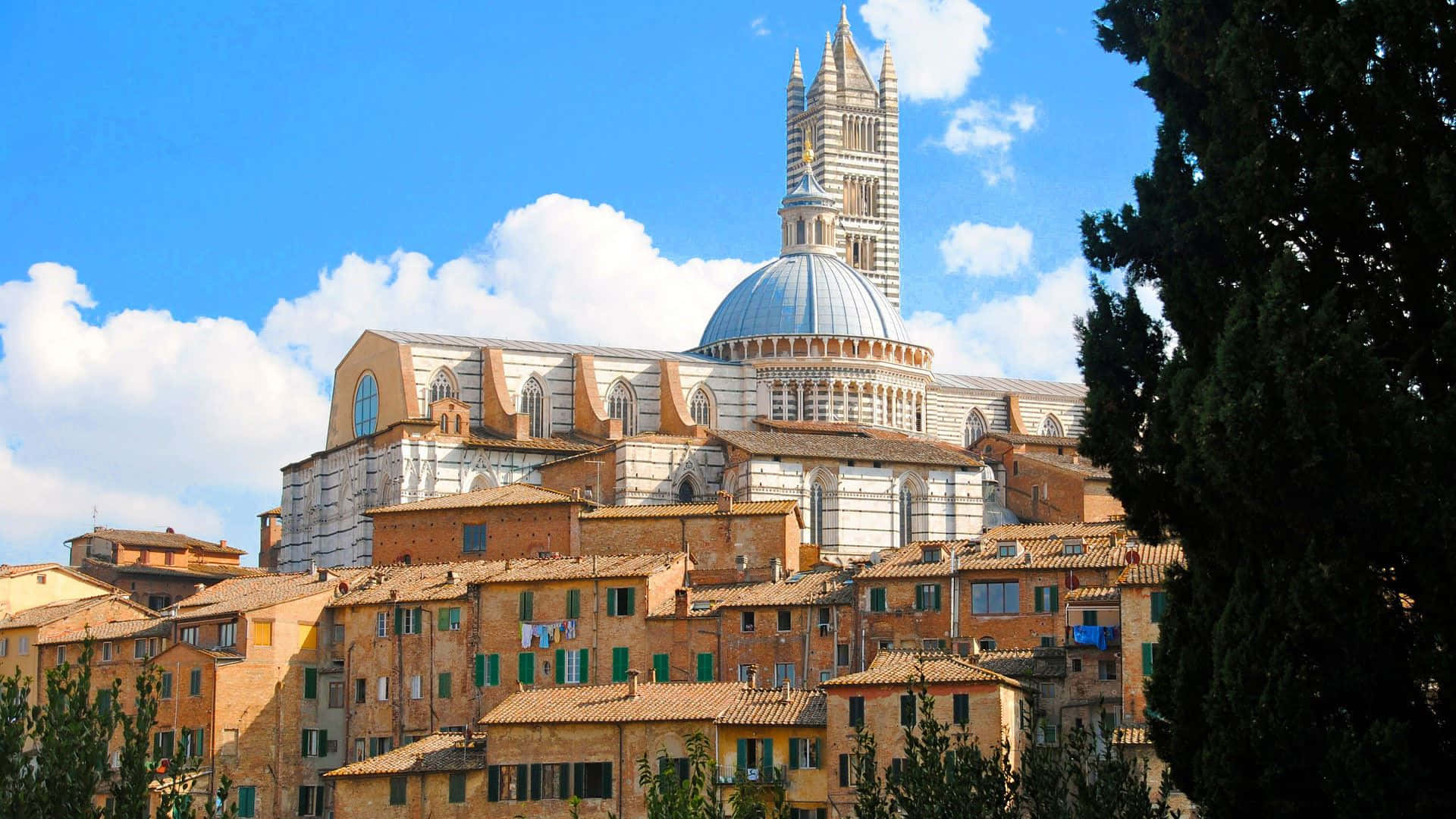 Siena Cathedral In Tuscany Region Italy Picture