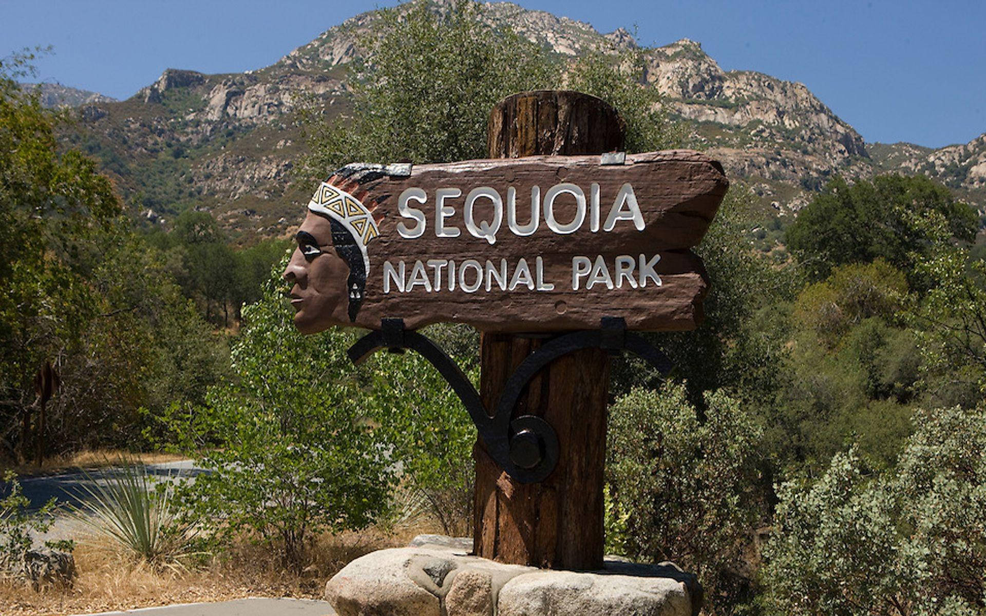 Skyltför Sequoia National Park. Wallpaper
