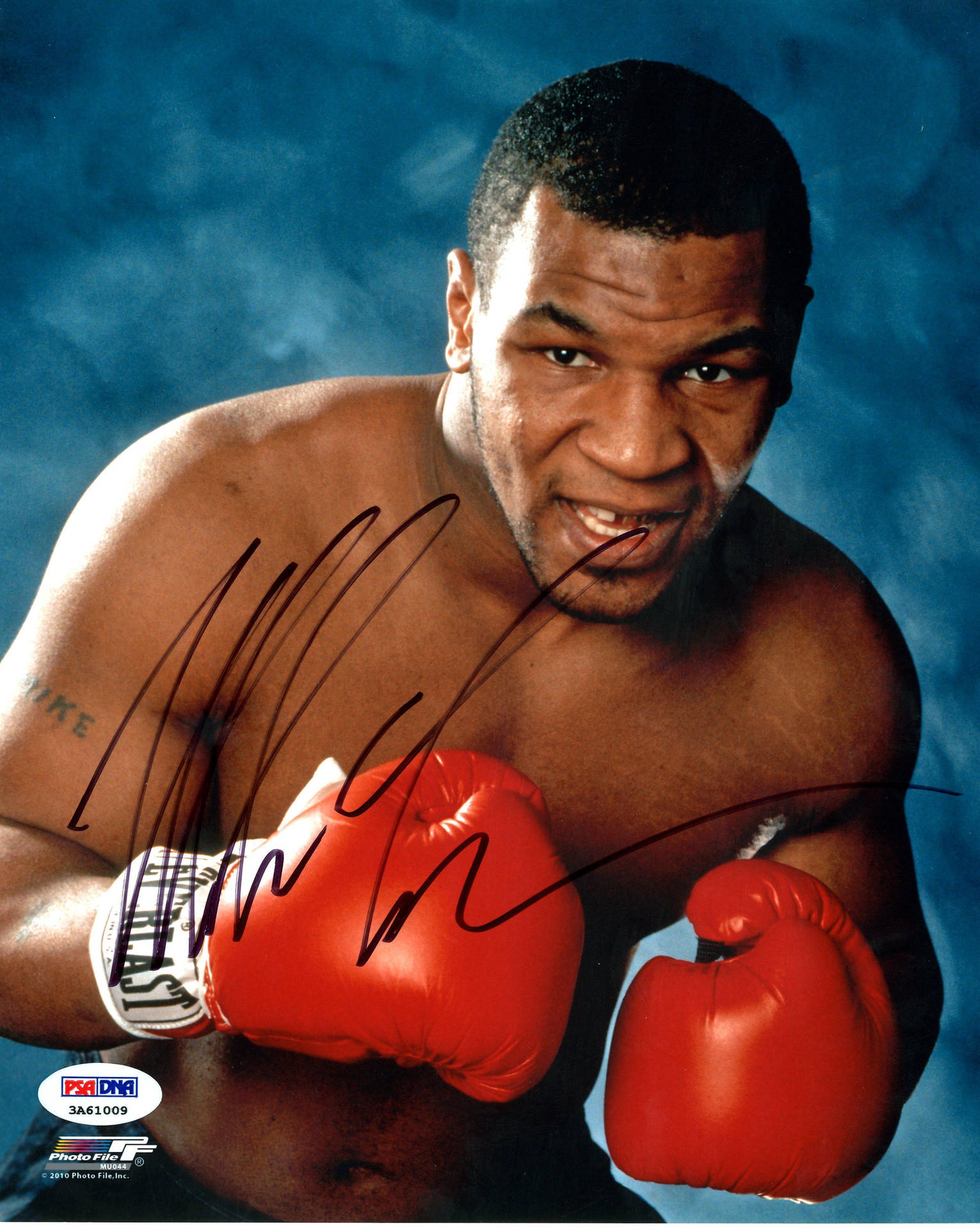 Mike Tyson by SulaimanDesigner