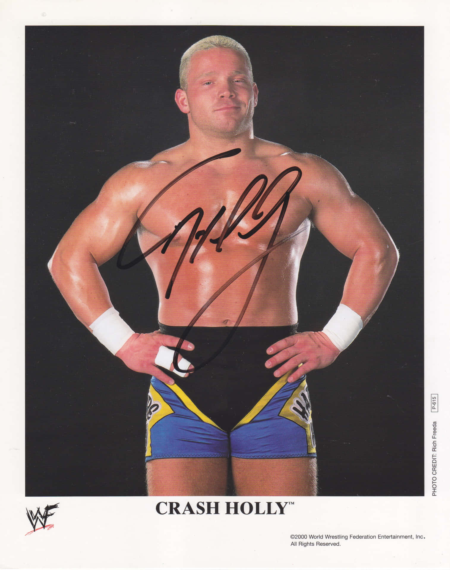 Promotional Portrait of WWE Superstar Crash Holly Wallpaper