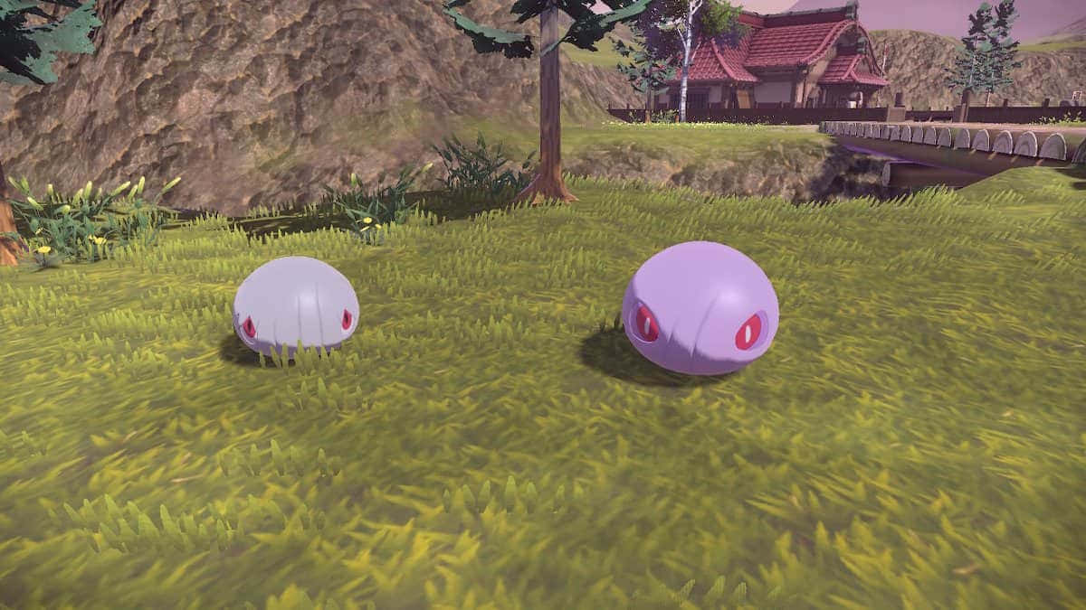 Silcoon And Cascoon On Grass Wallpaper