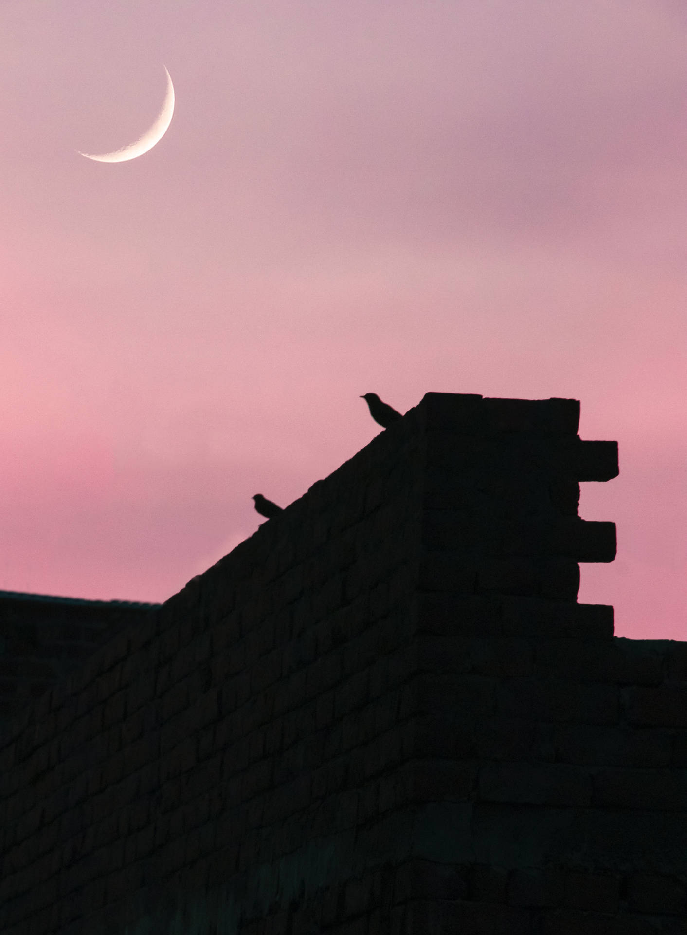 Silhouette Birds And Crescent Moon Wallpaper
