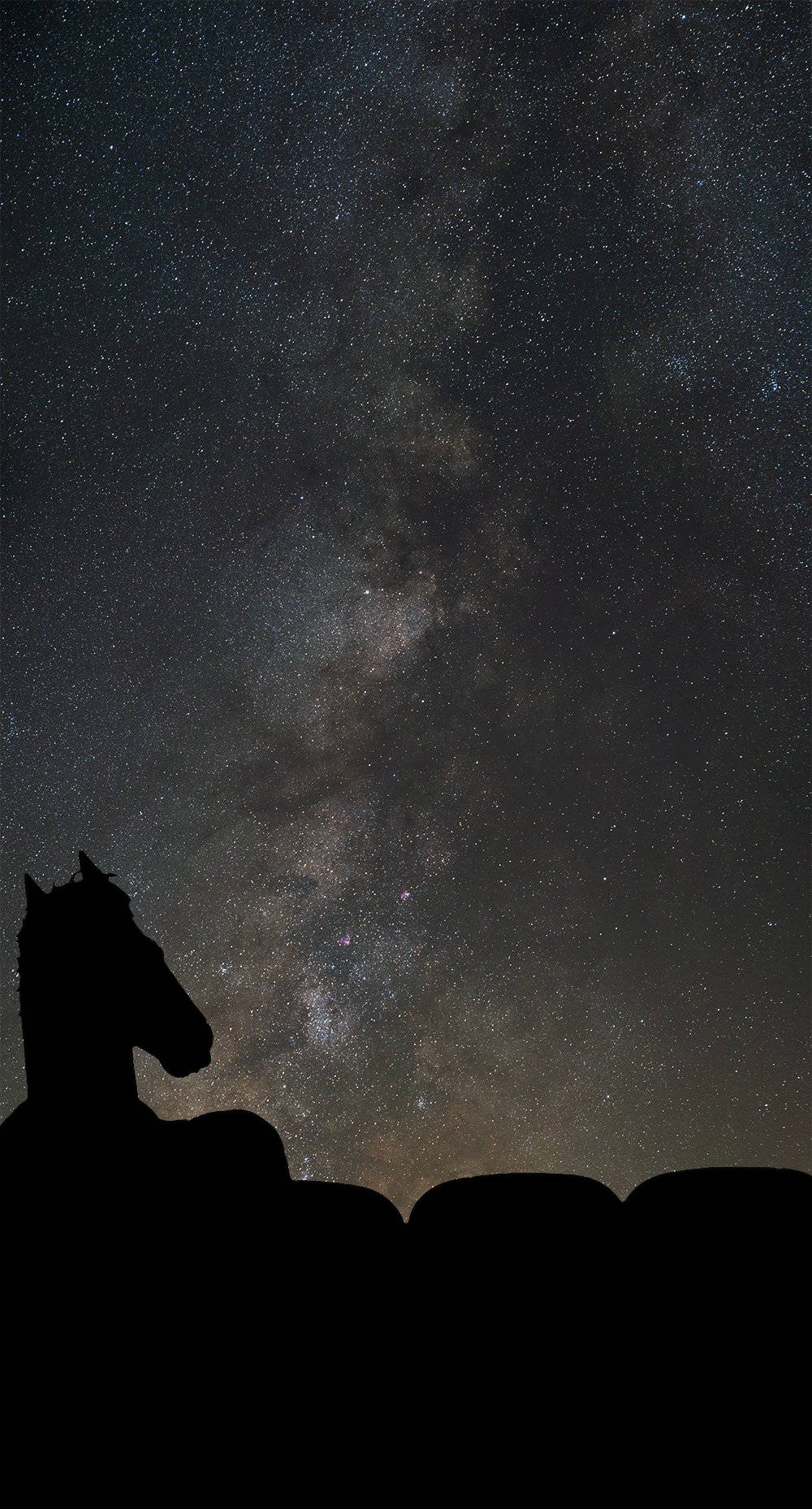 Silhouette Bojack Horseman Under Starry Sky