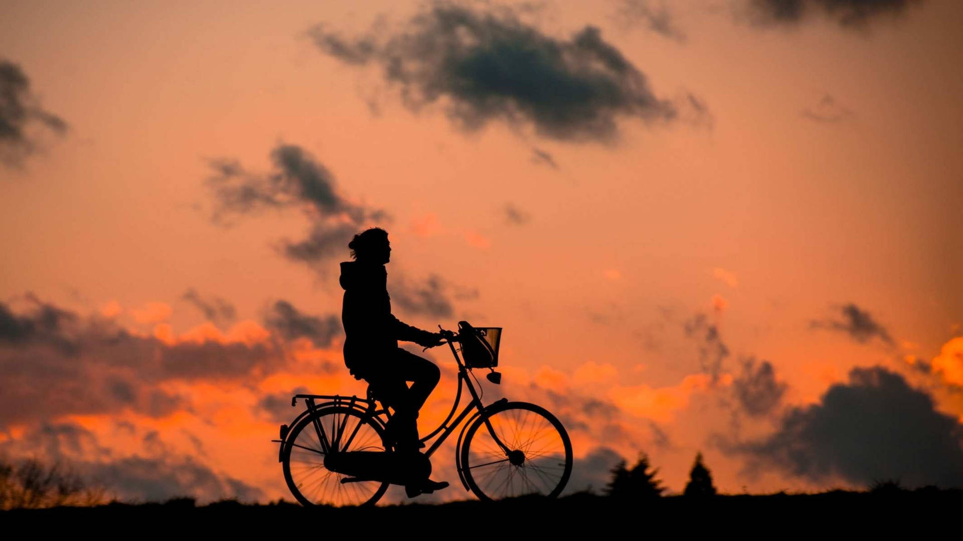 Silhouette Boy Bicyclist Wallpaper