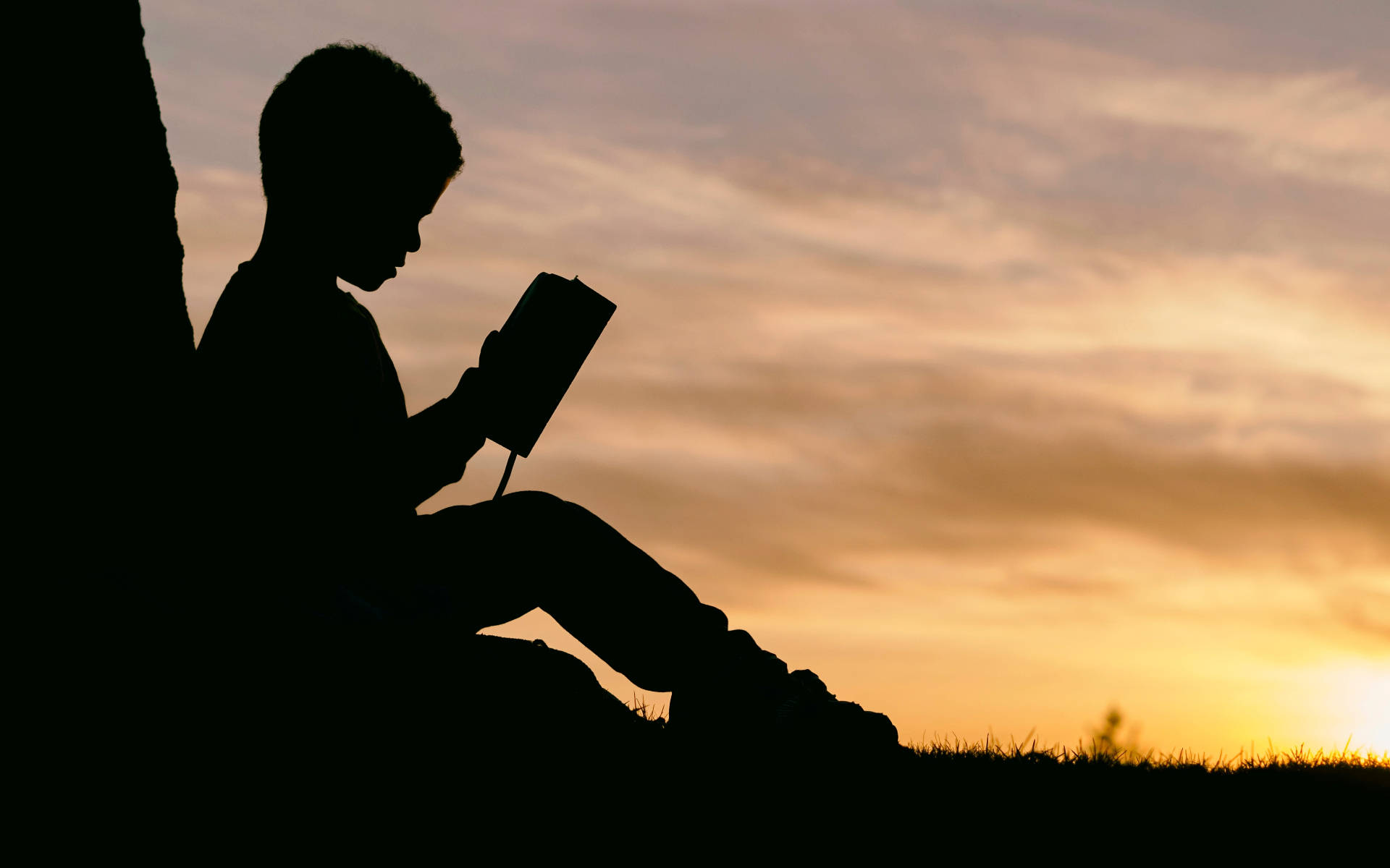 Silhuet af dreng der læser en bog Wallpaper