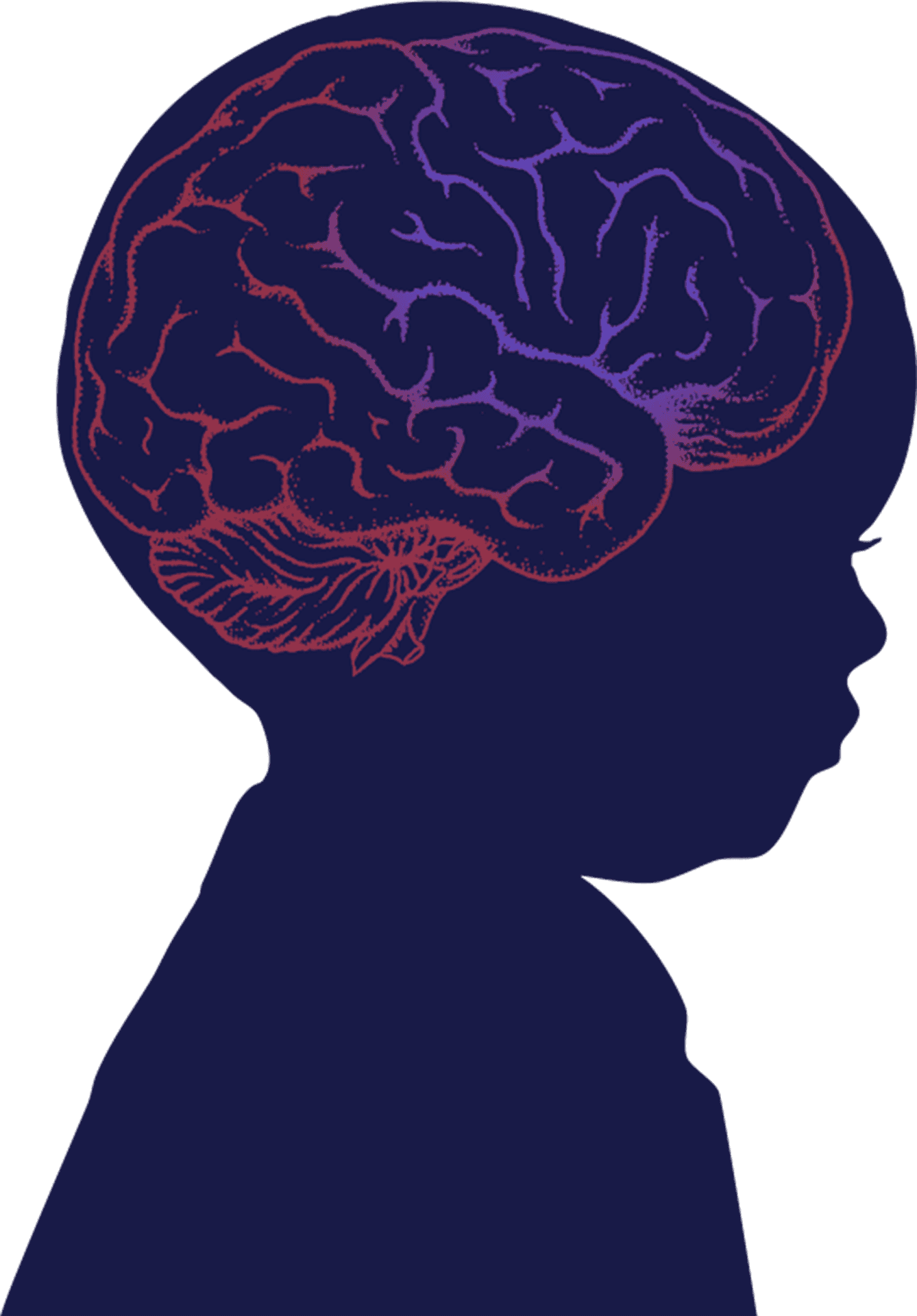 Silhouette Brain Illustration PNG
