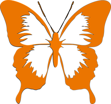 Silhouette Butterfly Human Face Illusion PNG