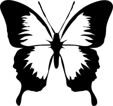 Silhouette Butterfly Outline PNG
