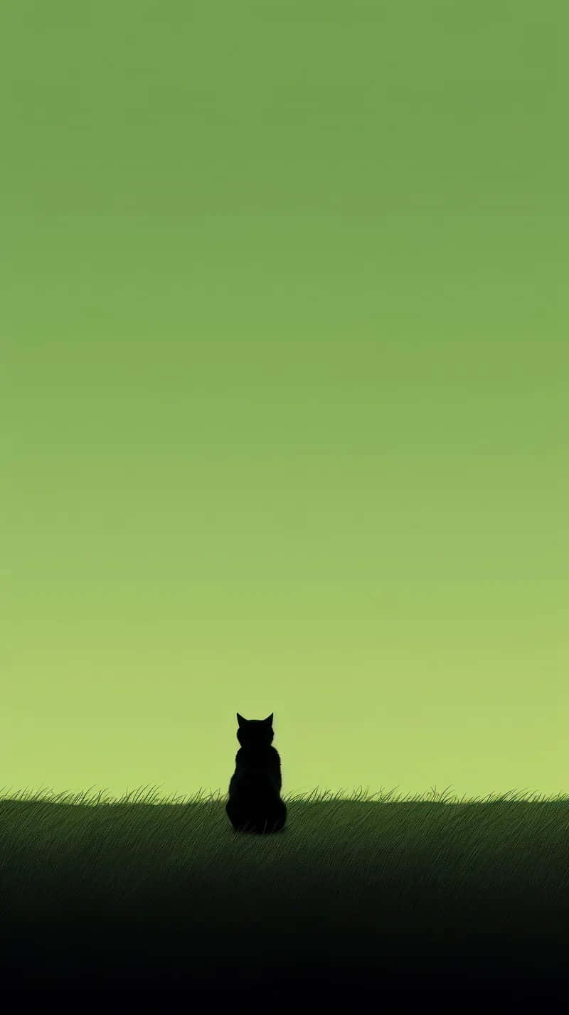 Silhouette Cat Green Gradient Background Wallpaper