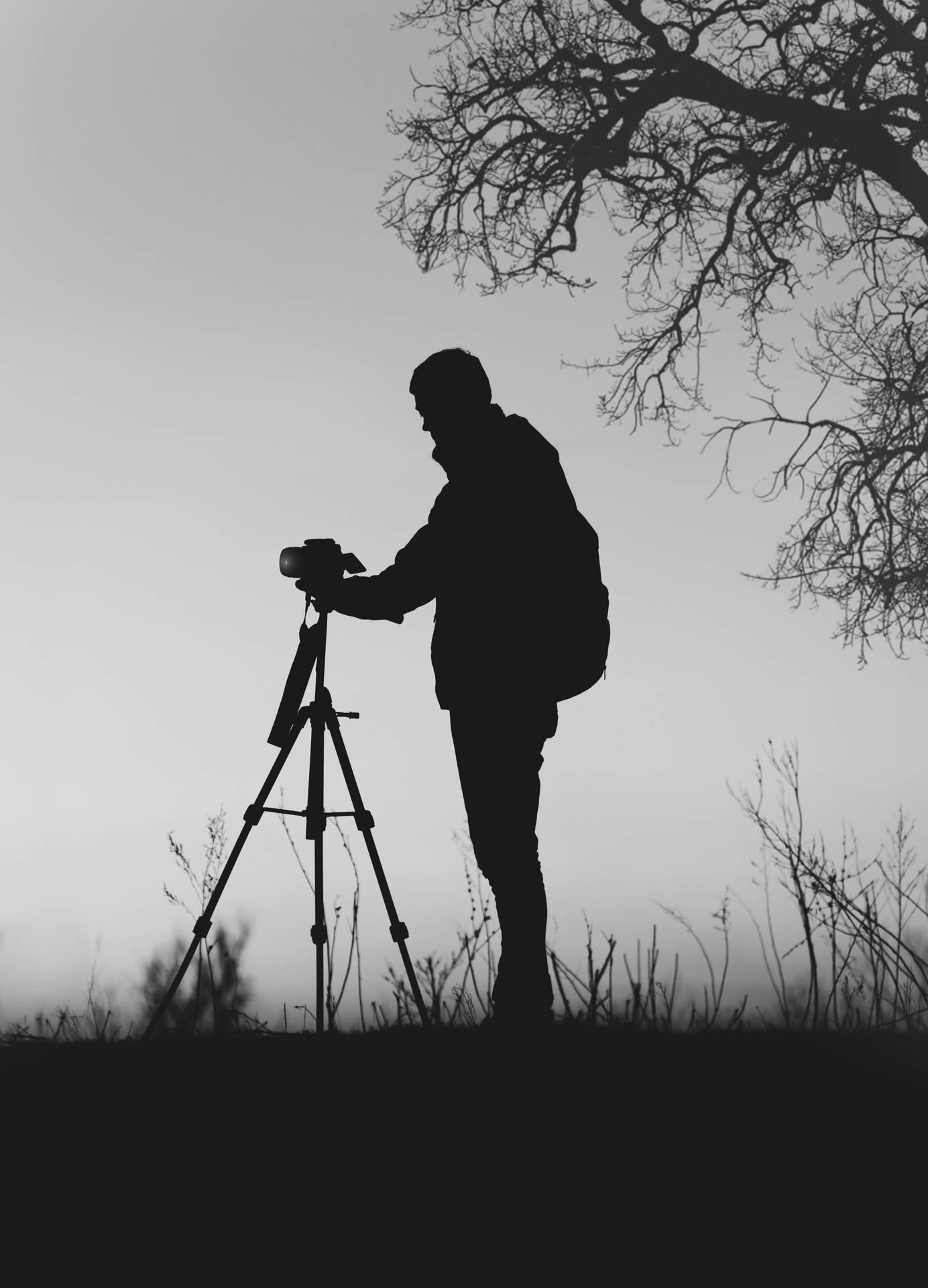 Silhouette Grayscale Photography Wallpaper