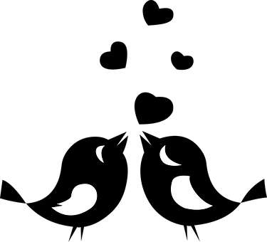 Silhouette Love Birds Moon PNG