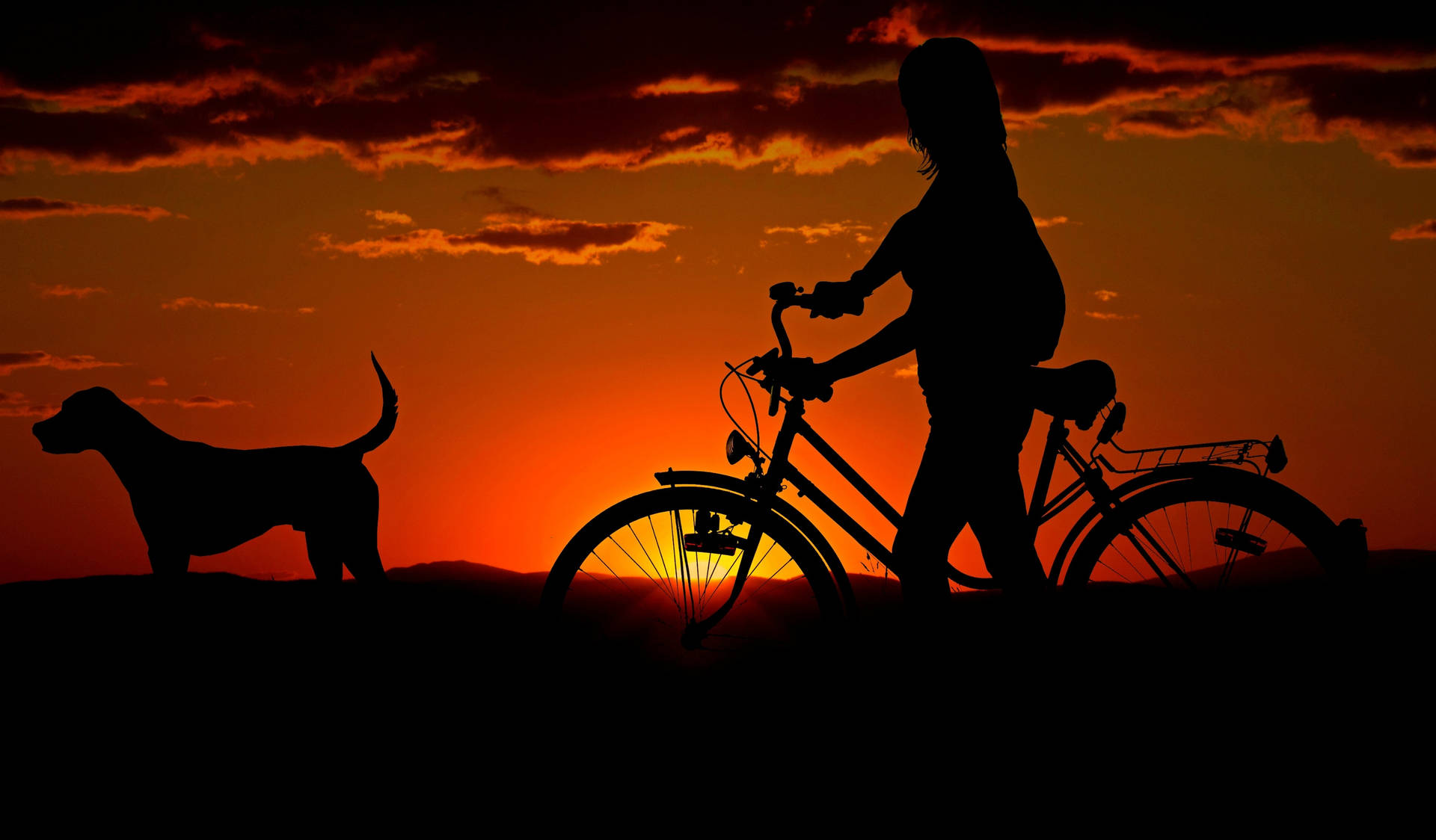 Silhouetteeines Hundes Und Eines Mädchens Bei Sonnenuntergang. Wallpaper
