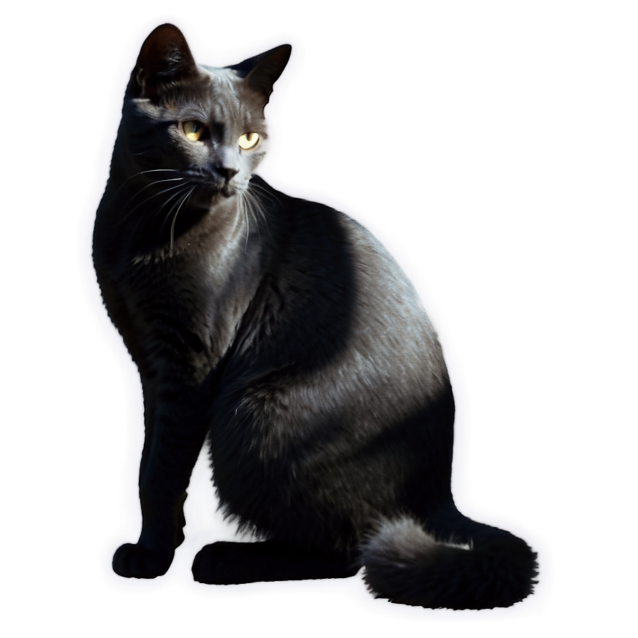 Silhouette Of Grey Cat Png 06252024 PNG