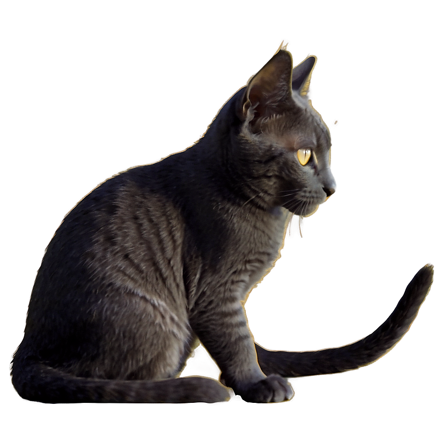 Silhouette Of Grey Cat Png 22 PNG