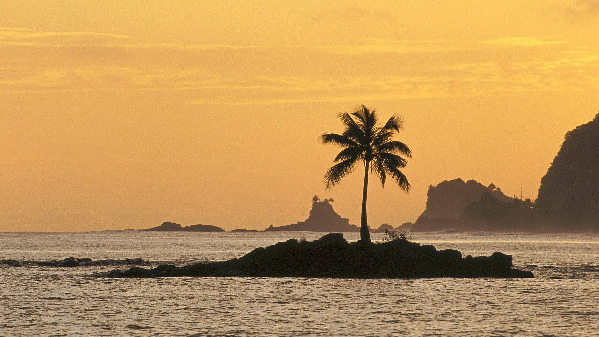 Silhouette Of Lone Coconut Tree On Island Wallpaper