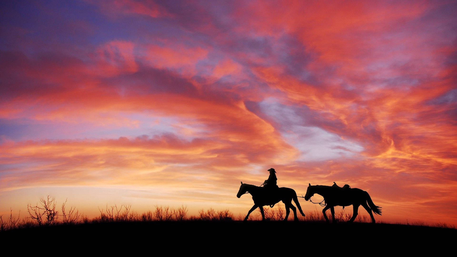 Silhouette Of Man With Beautiful Horses Wallpaper