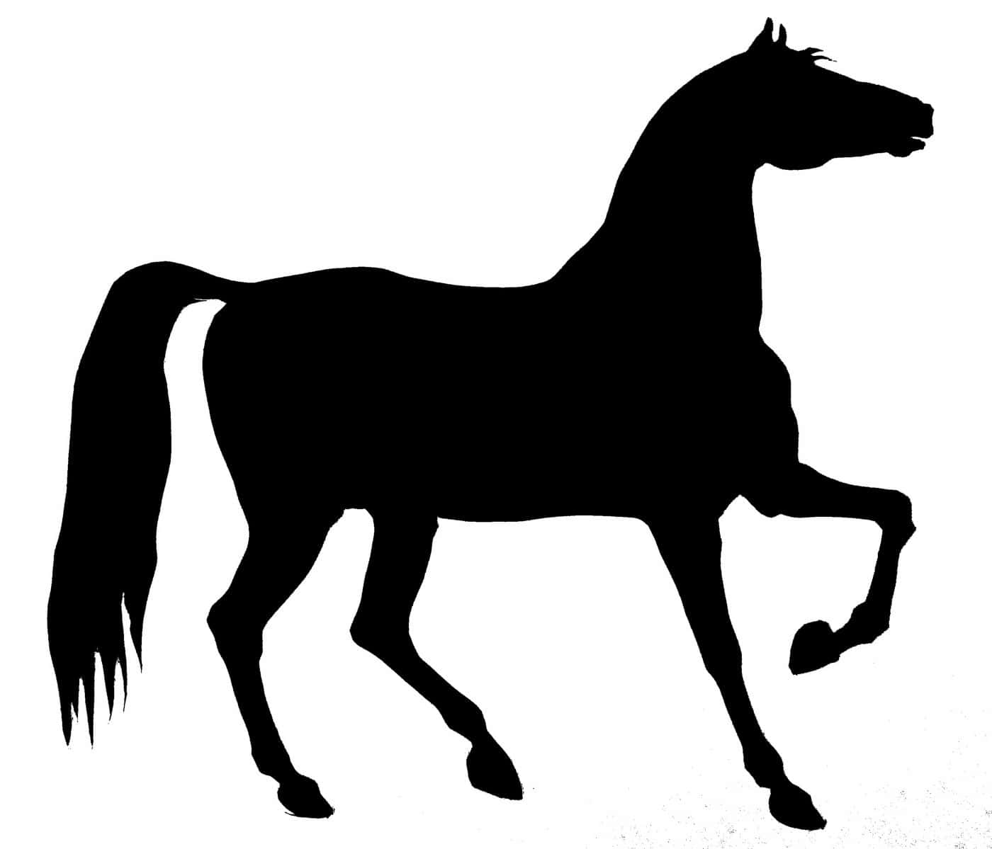 A Silhouette Of A Horse Is Shown Running