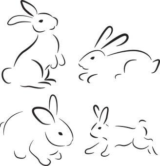 Silhouette Rabbits Black Background PNG