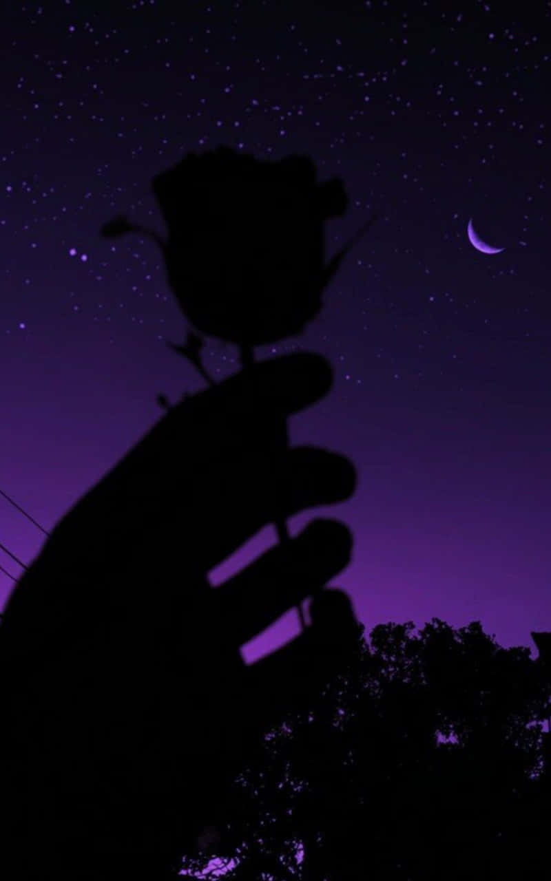 Silhouette Rose Under Starry Night Sky Wallpaper