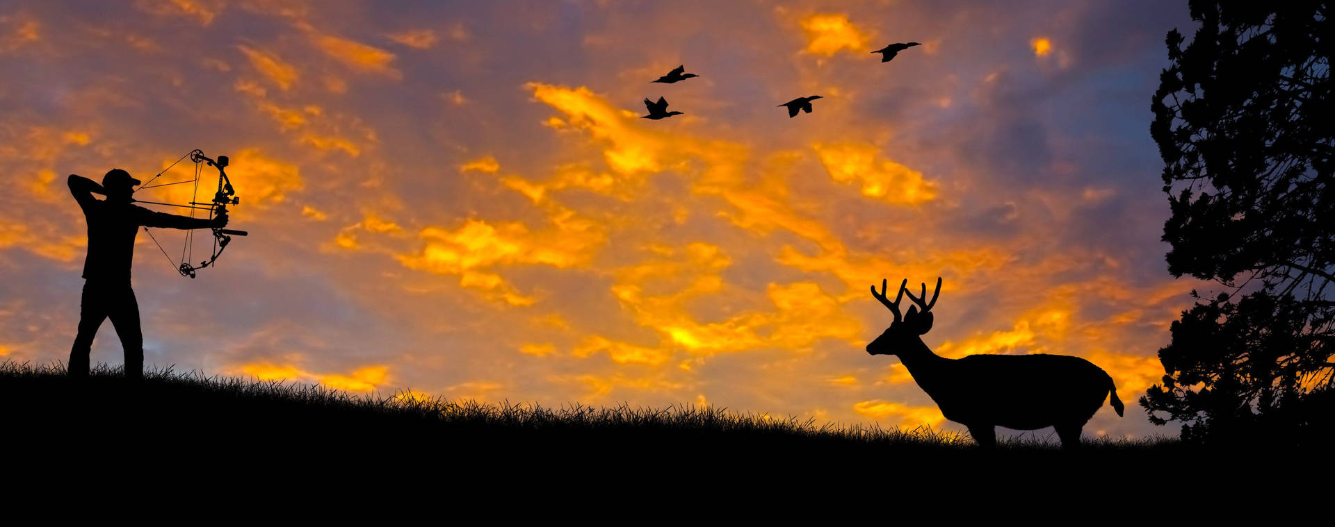 Download Silhouette Sunset Elk Hunting Wallpaper 