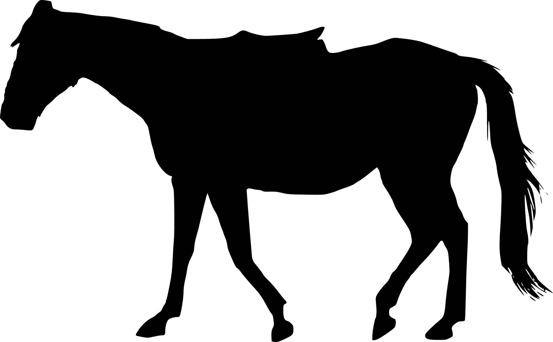 Silhouette_of_ Walking_ Horse PNG