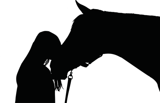Silhouetted Animalin Darkness PNG