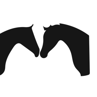 Silhouetted Bat Wings Spread PNG