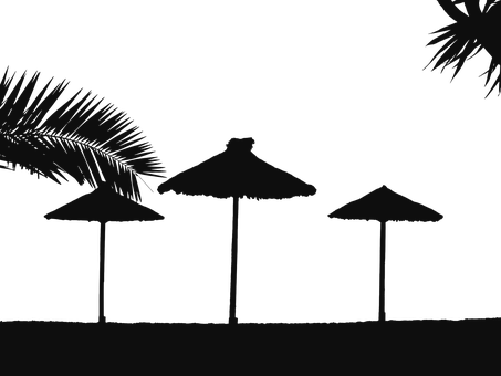 Silhouetted Beach Umbrellasat Night PNG