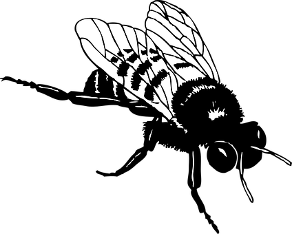 Silhouetted Bee Graphic PNG