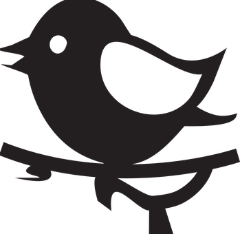 Silhouetted Bird Graphic PNG