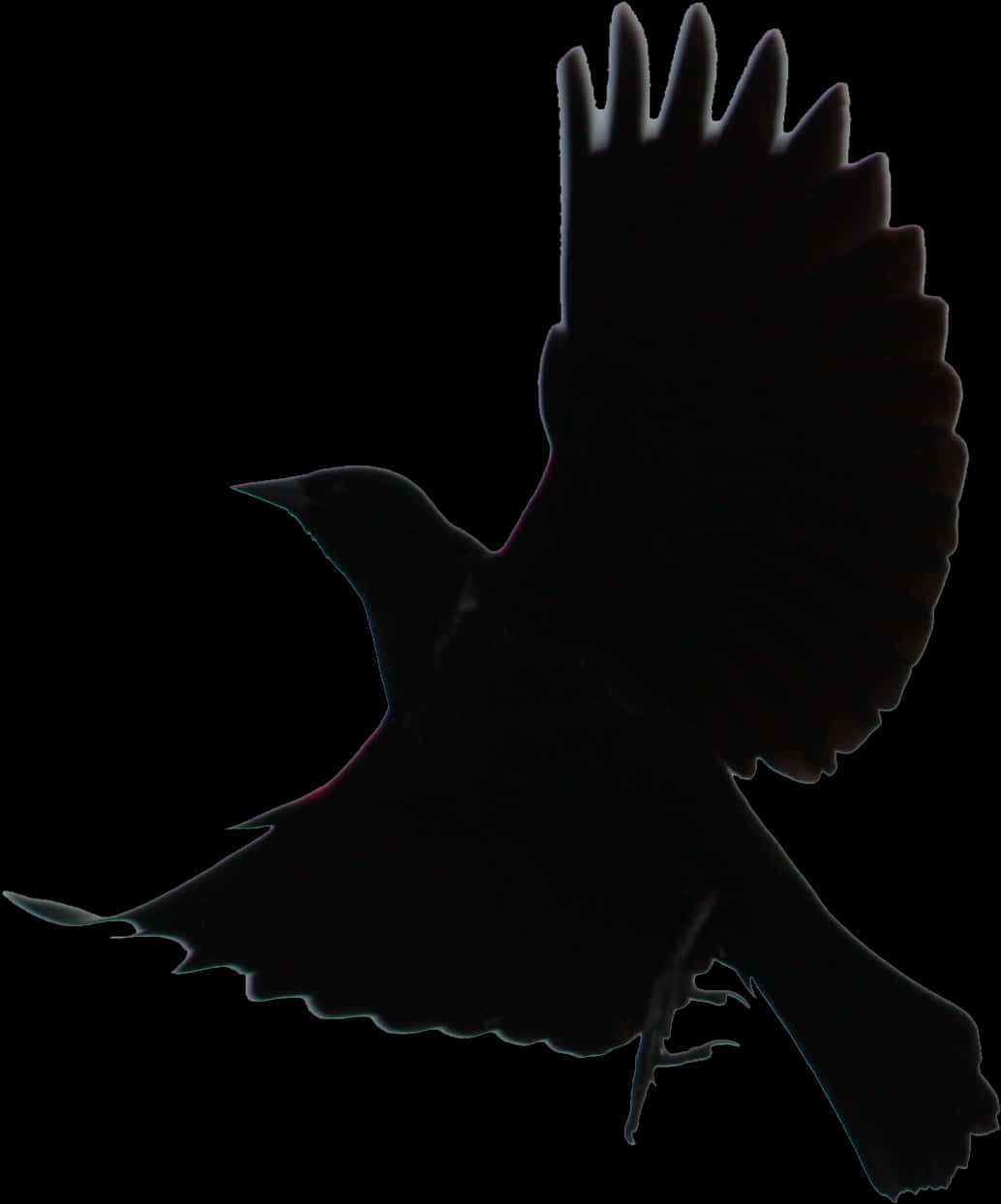 Silhouetted Birdin Flight PNG